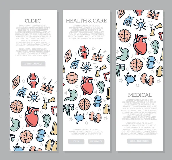 Conjunto de três órgãos e banners verticais de anatomia com padrão de ícone. Ilustração vetorial — Vetor de Stock