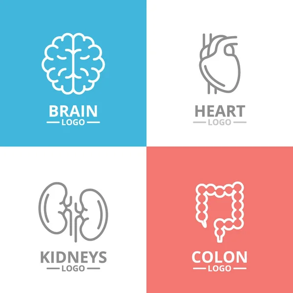 Conjunto de cérebro e coração, rim, logotipo do cólon ou insígnias, emblemas, rótulos e crachá. Estilo de linha vetorial — Vetor de Stock