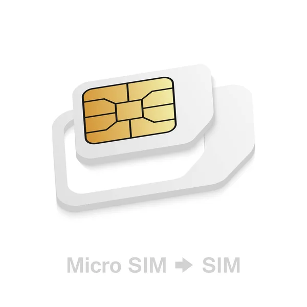 Realistic Micro to Standard SIM card adapter. Phone sim-card converter kit. — Stock Vector
