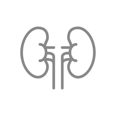 İnsan böbrekleri çizgisi ikonu. Sağlıklı iç organ sembolü