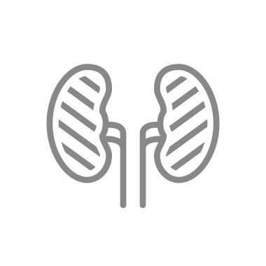 Yaralı insan böbrek çizgisi ikonu. Böbrek kistleri, böbrek taşları, üreteral taş sembolü.