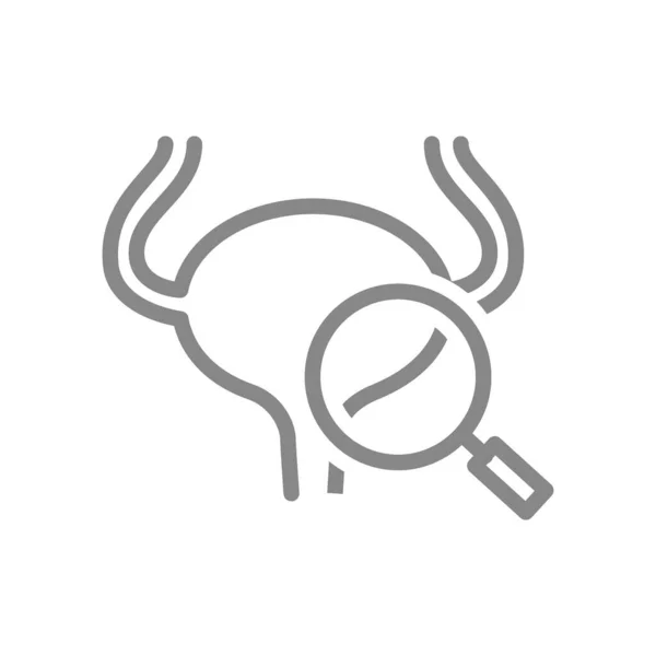 Harnblase mit Vergrößerungsglasliniensymbol. Menschliche Organforschung, Symbol zur Vorbeugung von Krankheiten — Stockvektor