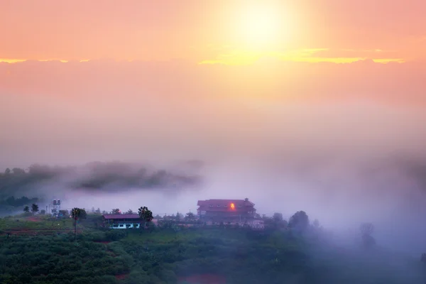 Lágy fókusz napos napfelkelte gyönyörű vidéken. Enyhe köd — Stock Fotó