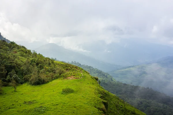Δρόμο με τα πόδια στο επάνω πράσινο δάσος του βουνού μονοπάτι πεζοπορίας στο thaila — Φωτογραφία Αρχείου