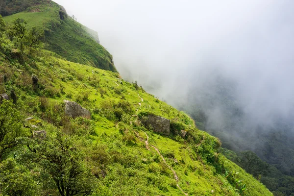 yürüyüş yolu yeşil orman üst dağ hiking Trail thaila içinde
