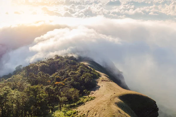 Νωρίς το πρωί ομίχλη Ανατολή ηλίου στην κορυφή του βουνού απαλή εστίαση ΓΡΑΙ — Φωτογραφία Αρχείου