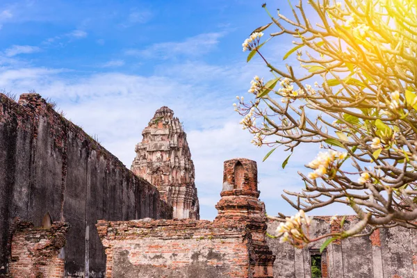 Antigua pagoda antigua en Lopburi tailandia, con ladrillo exterior antiguo —  Fotos de Stock