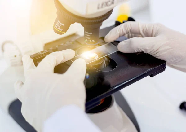 laboratuvar test mikroskop bilim laboratuvar araştırma ve geliştirme kavramı içinde tutan bilim adamı el