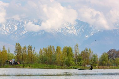 Srinagar, Hindistan - 13 Nisan 2016: Dal göl, adam DRI yaşam tarzı