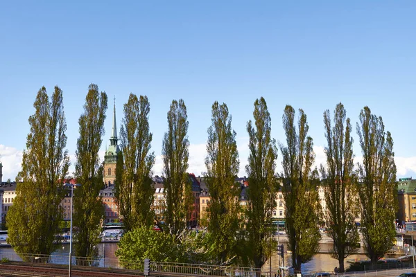 Árboles en Estocolmo, Suecia — Foto de Stock