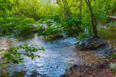 plitvice gölleri ulusal park, Hırvat.