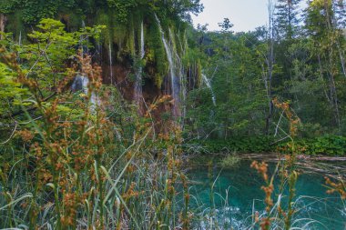 plitvice gölleri ulusal park, Hırvat.