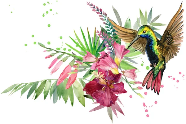 beautiful tropical nature. exotic floral paradise background. jungle plant, bird and flowers. Hummingbird. rain forest watercolor illustration.