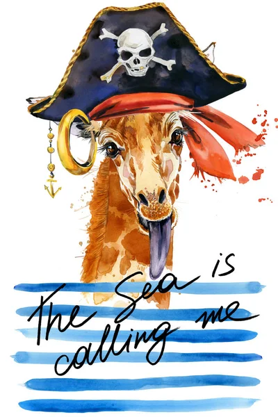 pirate animal in hat