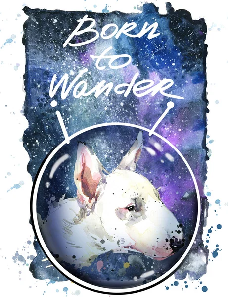 Cute dog in Space