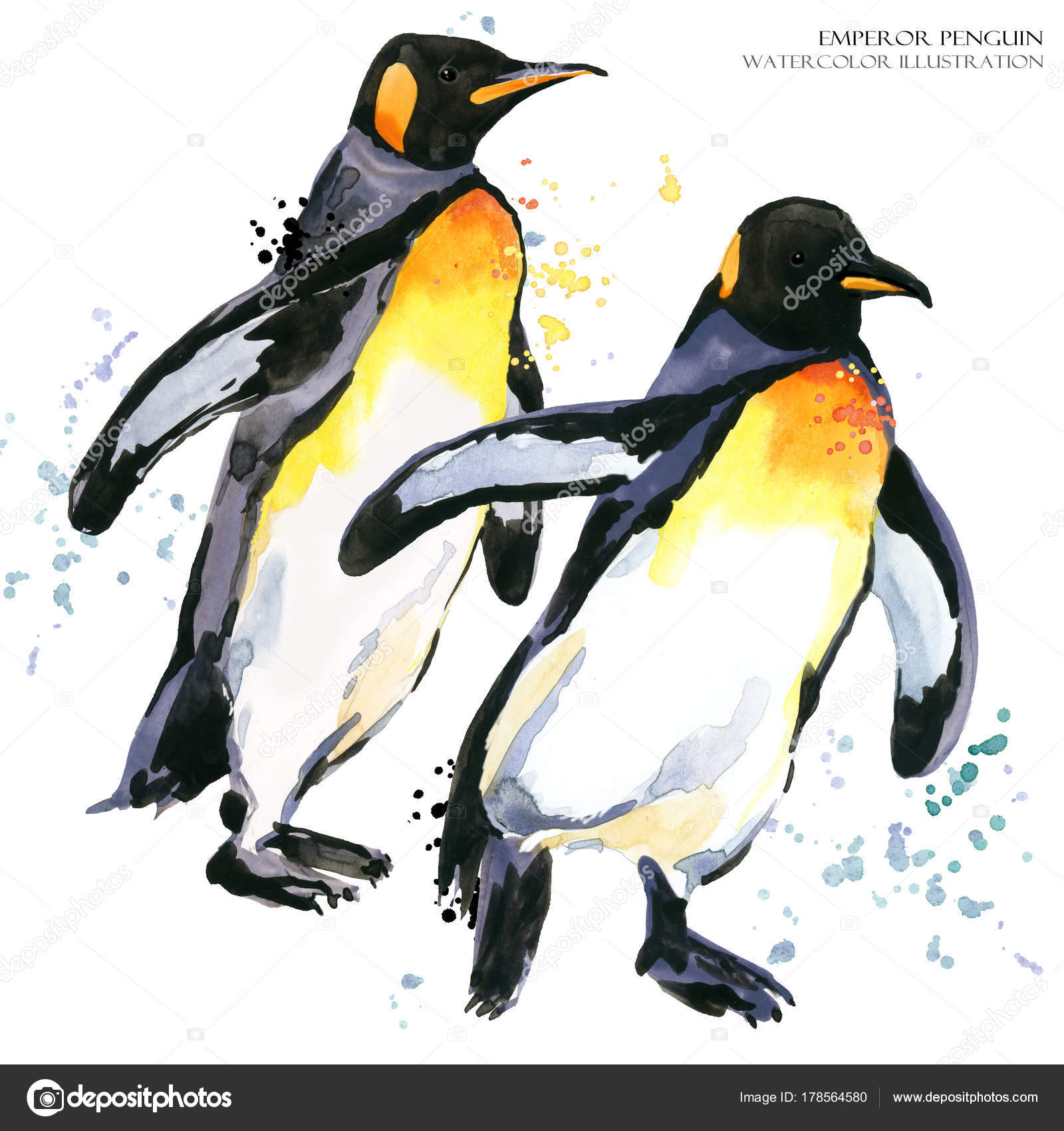 ベスト皇帝 ペンギン イラスト アニメ画像 ベスト皇帝 ペンギン イラスト アニメ画像