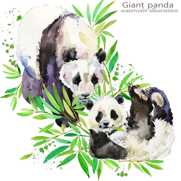 wild Panda hand draw watercolor illustration