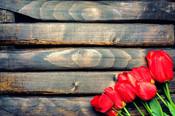 Red tulips on dark boards — Stock Photo, Image