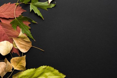 güzel sonbahar arka plan