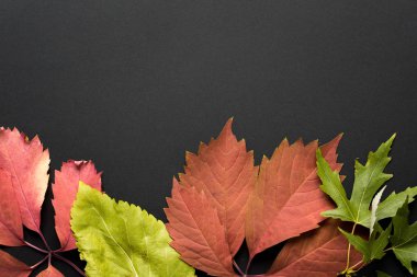 güzel sonbahar arka plan