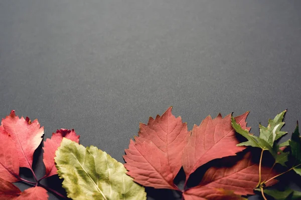 güzel sonbahar arka plan