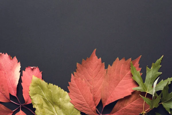 güzel sonbahar arka plan