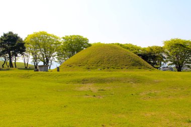 Şehir parkındaki yeşil tepe
