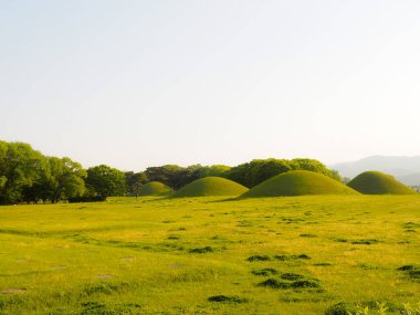 Yazın çimenli tepeler