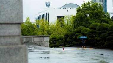 Şehir caddesi yağmurda