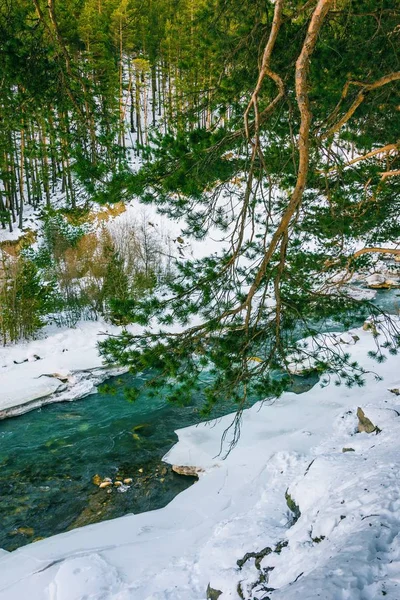 Landscape in the mountains — Stock Photo, Image