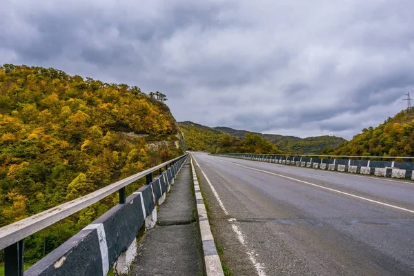 great nature on the road