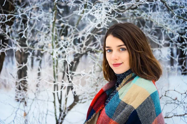 Retrato de invierno de chica encantadora — Foto de Stock