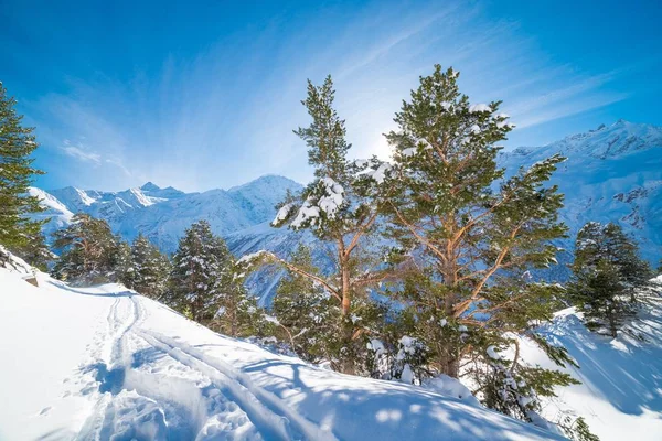 Winter Day Landscape Mountains — Stock Photo, Image