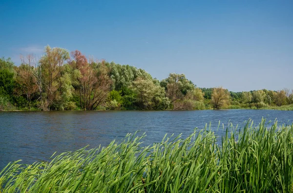 Lake Village Daytime — Stock Photo, Image