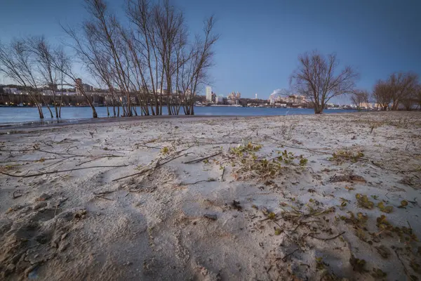 Winterlandschap Met Bomen Meer — Stockfoto