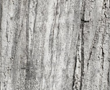 Ahşap doku arkaplanı