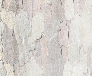 Ahşap doku arkaplanı