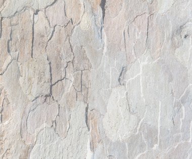 Ahşap doku arkaplanı