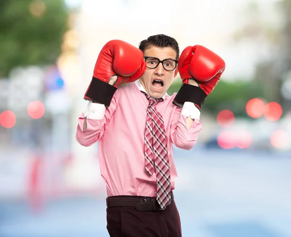 Glücklicher Geschäftsmann in Boxhandschuhen — Stockfoto