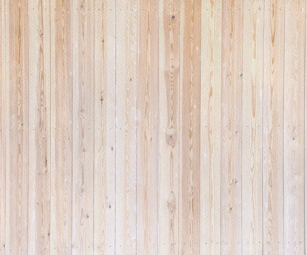 Pine trä textur — Stockfoto