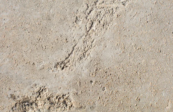 Yumuşak beton doku — Stok fotoğraf