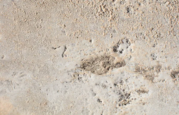 Textura de concreto macio — Fotografia de Stock