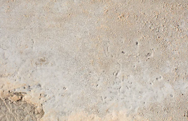 Yumuşak beton doku — Stok fotoğraf