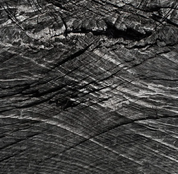 Holz warme Textur — Stockfoto