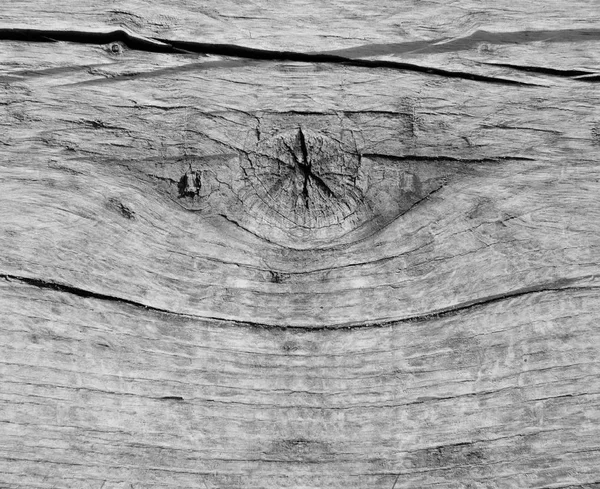 Tekstur kayu hangat — Stok Foto