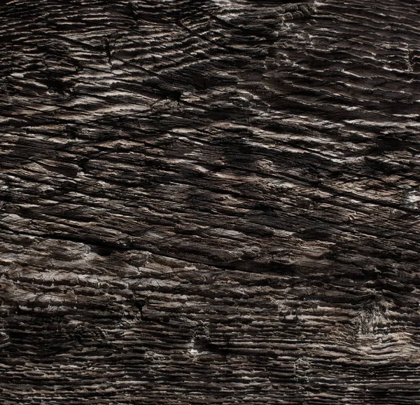 Textura cálida de madera — Foto de Stock