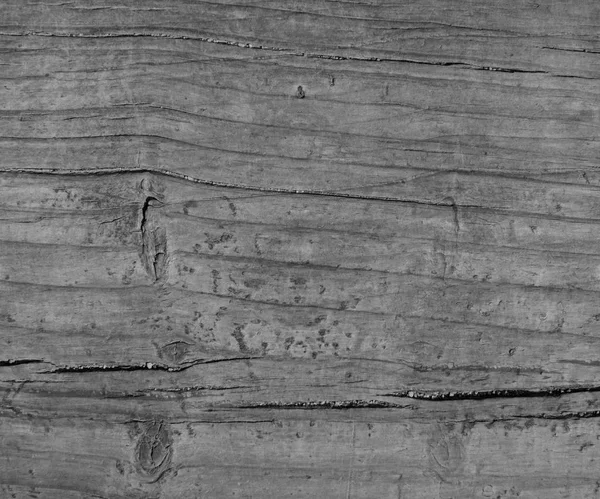 Texture calda in legno — Foto Stock