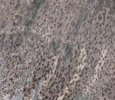 soyut oksit doku arka plan