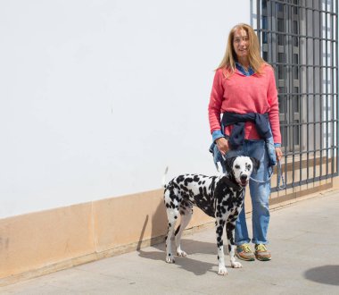 Dalmaçyalı köpek ile kadın kıdemli