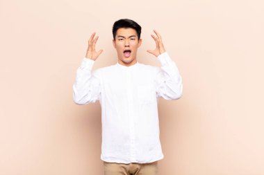 Genç Çinli adam elleri havada bağırıyor, öfkeli, sinirli, stresli ve düz renkli duvara karşı üzgün hissediyor.